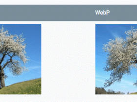WebP图像解码器WebP Codec v0.19.9.0 用看图打开WebP图像格式文件并在系统显示缩略图