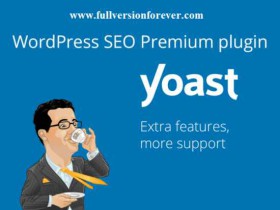 独家汉化WordPress SEO优化插件 Yoast SEO Premium 中文版含附加组件【更新至v17.3.0】