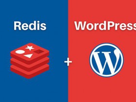  Small Skin Panel Environment Wordpress Website Installation Start Redis Cache and Install Redis Object Cache Plug in Tutorial