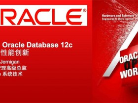 oracle 12c client 客户端 v12.2.0版 非数据库服务端 附安装教程