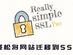 Really Simple SSL Pro v6.0 中文破解版 站点一键切换到HTTPS插件