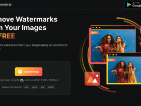 WatermarkRemover 免费在线图片去除水印工具 去除水印效果惊人