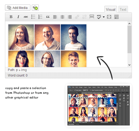 强大的Wordpress图片粘贴上传插件OnePress Image Elevator v2.62心语家园汉化版